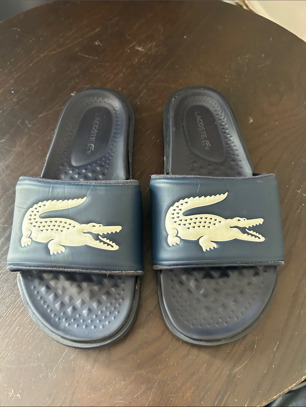 Lacoste Navy Blue Slide Sandals with Cream Crocodile Logo